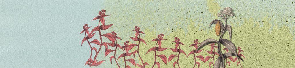 Wandeln Woche 4 Titel