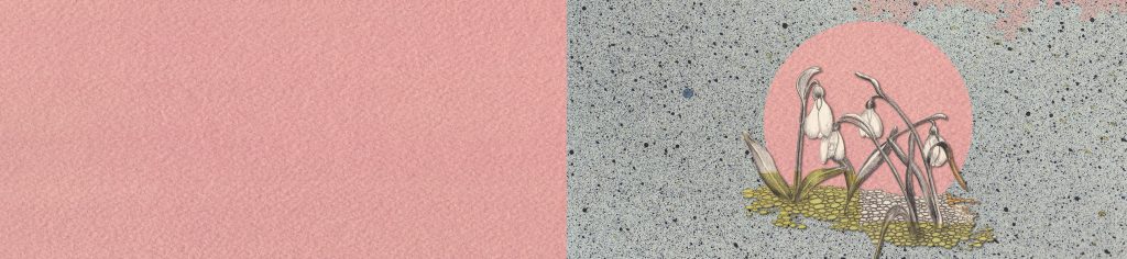 Wandeln Woche 3 Freitag