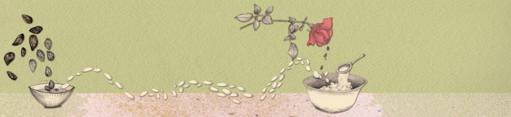 Wandeln Woche 5 Donnerstag