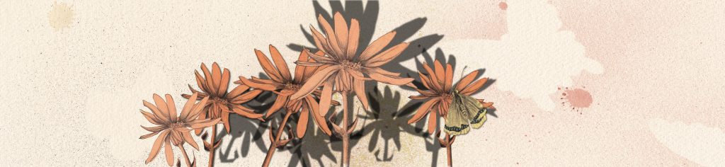 Wandeln Woche 6 Titel