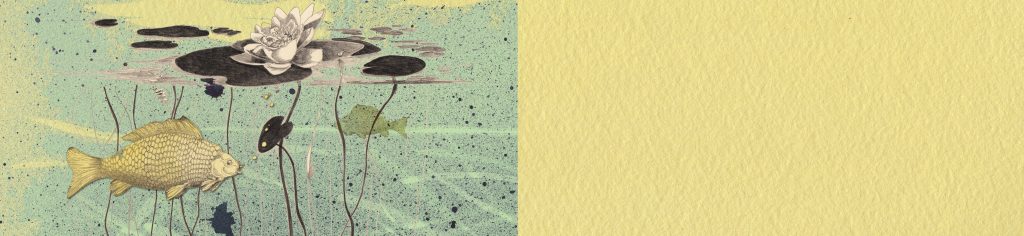 Wandeln Woche 7 Dienstag